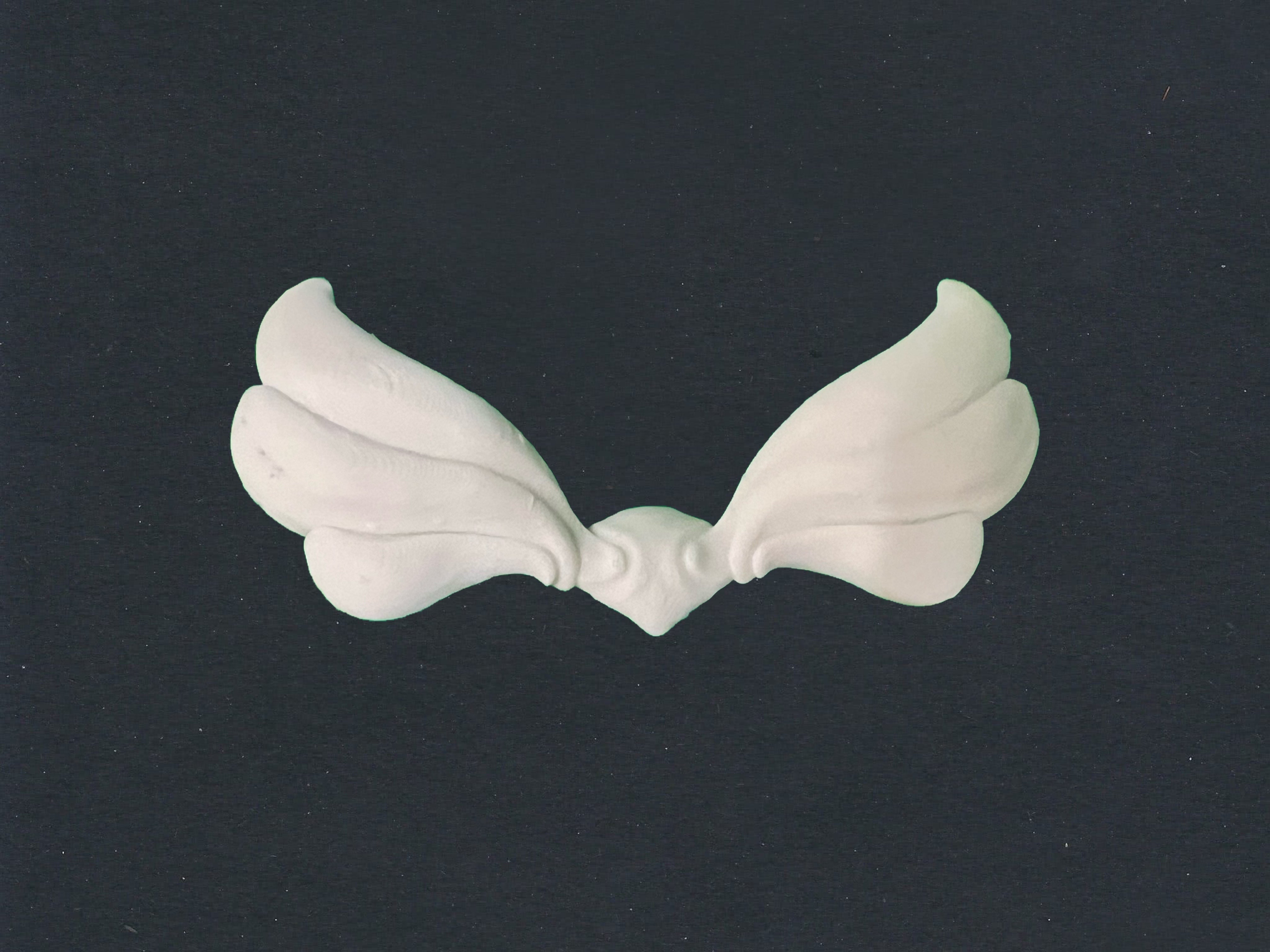 DIY Wings – THE ROBOTS RISE SHOP